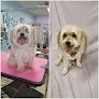 Negocio Pretty Pets Grooming