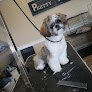 Negocio Pretty-n-paws Llc