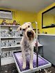 Negocio Pride & Groom, Llc
