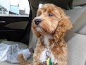 Negocio Prince Benji Dog Grooming