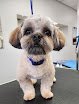 Negocio Professional Pet Styling