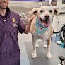 Negocio Proud Paws Mobile Grooming