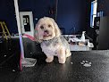 Negocio Pup Culture Grooming Llc