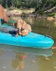 Negocio Pup N Suds