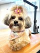Negocio Puppy Love Grooming