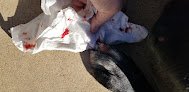 Negocio Puppy Love Grooming