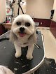 Negocio Puppy Palace By Kumiko