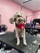 Negocio Puptown Girl Llc