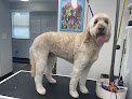 Negocio Puptown Lounge Grooming House
