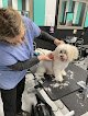 Negocio Pupville Parlour