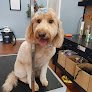 Negocio Pupz Pet Spa, Llc