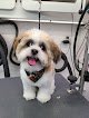 Negocio Purrfect Paws Mobile Pet Spa