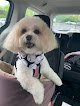 Negocio Purrfurred Pet Styling - Warrenville