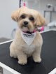 Negocio Rapawzel Dog Grooming & Day Care