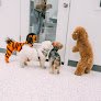 Negocio Rapawzel Dog Grooming & Day Care