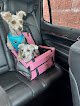 Negocio Renee’s Puppies & Paws Grooming Salon