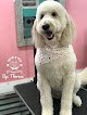 Negocio Rock N Pup Pet Salon