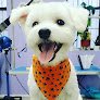Negocio Roro's Pet Styling