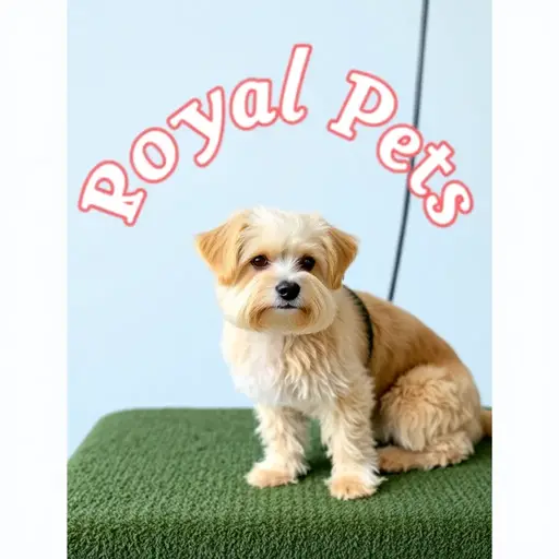 Royal Pets Grooming Spa
