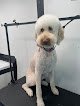 Negocio Ry’s Dog Grooming