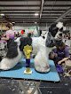 Negocio Salon De' Fluff O'fallon