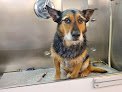 Negocio Scooby-dos Mobile Pet Grooming