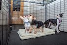 Negocio Seattle Canine Club