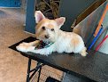 Negocio Shadows Grooming/mobile Pet Grooming