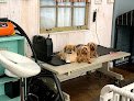 Negocio Shaggy Chic Pet Salon