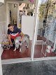Negocio Shake And Tail Dog Grooming