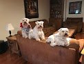 Negocio Shar-lee's Pet Grooming Llc