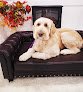 Negocio Simply Irresistible Pets
