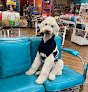 Negocio Simply Wonderful Kc Pet Groomer & Supplies