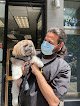 Negocio Snowball's Pets Grooming Salon
