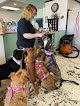 Negocio Spaw Pet Grooming & Boutique