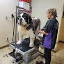 Negocio Stubby's Dog Wash & Grooming Salon