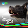 Negocio Style And Fashion Pets