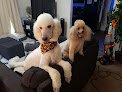 Negocio Stylin Pets Salon