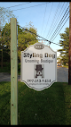 Negocio Styling Dog