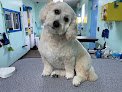 Negocio Sudzy Puppy
