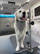 Negocio Sunset Mobile Grooming