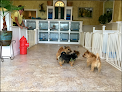 Negocio Susie's Professional Pet Groom