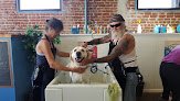 Negocio That Dog Wash