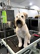 Negocio The Canine & Kitty Co, Llc