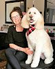Negocio The Dapper Dog Grooming Salon