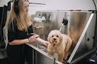 Negocio The Dapper Dog Pet Care Services