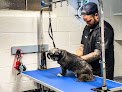 Negocio The Dapper Pup Pet Grooming