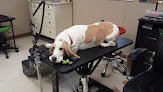 Negocio The Dirty Dog Grooming Salon & Doggie Daycare