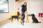 Negocio The Dog Stop - Metairie, Louisiana