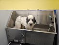 Negocio The Dog Wash